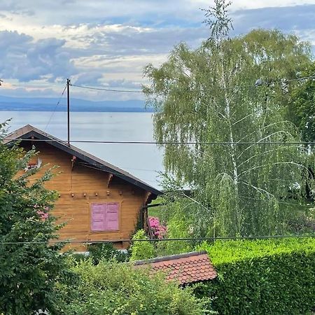 La Veranda De La Mouette Thonon-les-Bains Kültér fotó